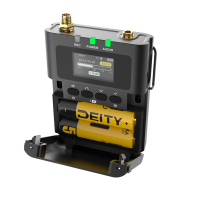 DEITY Theos Digital Wireless