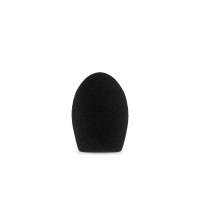 Radius 3cm Handheld Mic Foam (55)