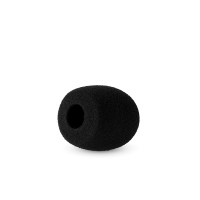 Radius 5cm Mic Foam (19-22)