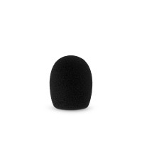 Radius 5cm Mic Foam (19-22)